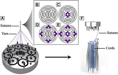 Evaluation of biomechanical properties and biocompatibility: are partially absorbable cords eligible for anterior cruciate ligament reconstruction?